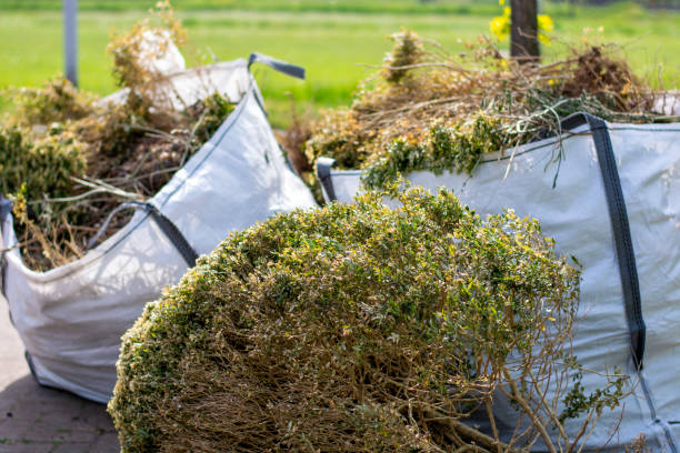 Best Attic Cleanout Services  in Harvey, IL